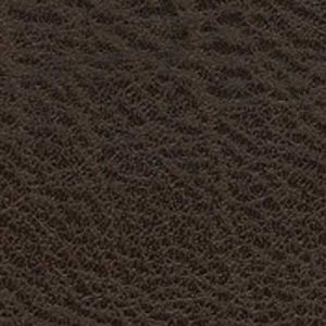 Premium Leather Chestnut.jpg